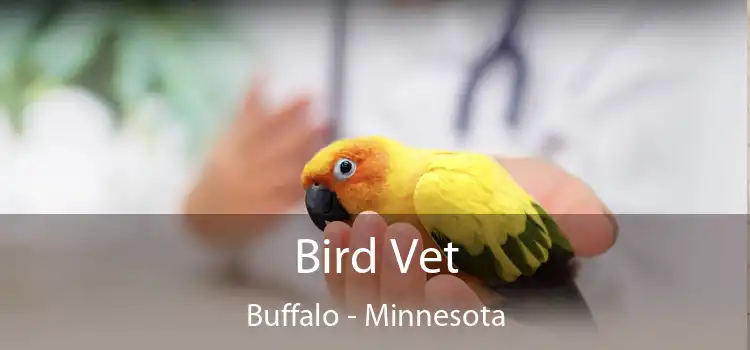 Bird Vet Buffalo - Minnesota