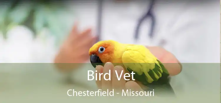 Bird Vet Chesterfield - Missouri