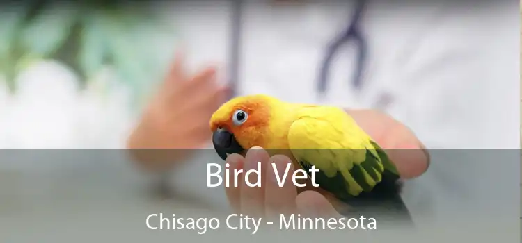 Bird Vet Chisago City - Minnesota