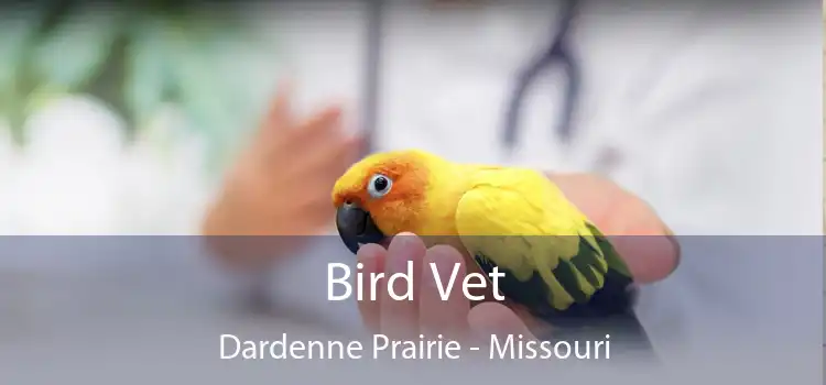 Bird Vet Dardenne Prairie - Missouri