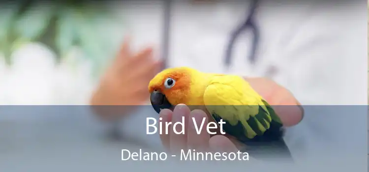 Bird Vet Delano - Minnesota