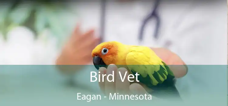 Bird Vet Eagan - Minnesota