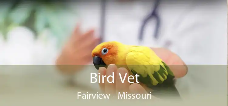 Bird Vet Fairview - Missouri