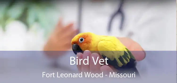 Bird Vet Fort Leonard Wood - Missouri