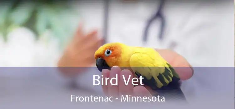 Bird Vet Frontenac - Minnesota