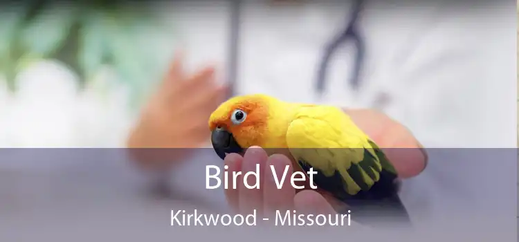 Bird Vet Kirkwood - Missouri