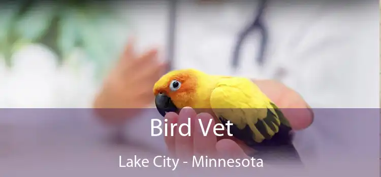 Bird Vet Lake City - Minnesota