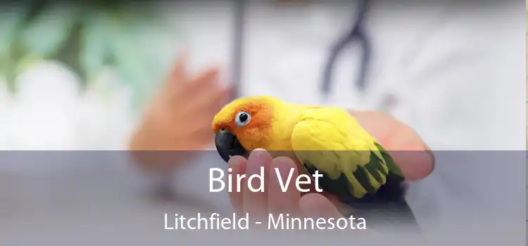 Bird Vet Litchfield - Minnesota