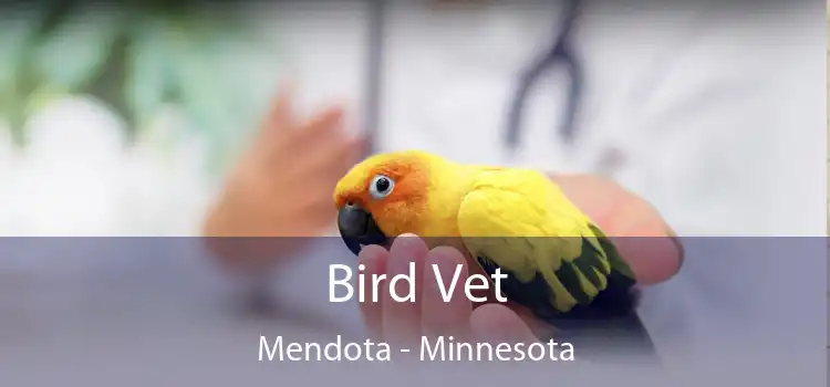 Bird Vet Mendota - Minnesota