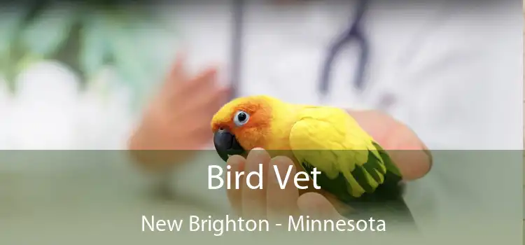 Bird Vet New Brighton - Minnesota