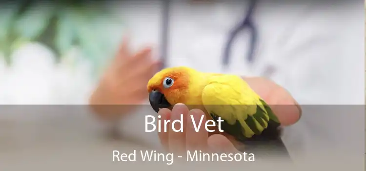 Bird Vet Red Wing - Minnesota