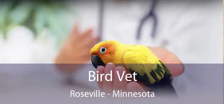 Bird Vet Roseville - Minnesota