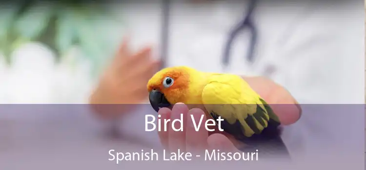 Bird Vet Spanish Lake - Missouri