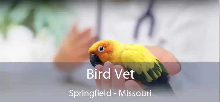 Bird Vet Springfield - Missouri