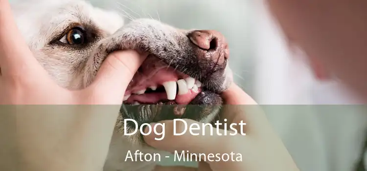 Dog Dentist Afton - Minnesota