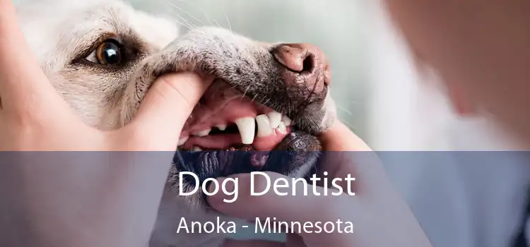 Dog Dentist Anoka - Minnesota