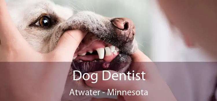 Dog Dentist Atwater - Minnesota