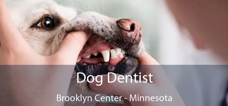 Dog Dentist Brooklyn Center - Minnesota