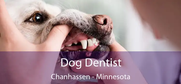 Dog Dentist Chanhassen - Minnesota