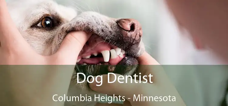 Dog Dentist Columbia Heights - Minnesota