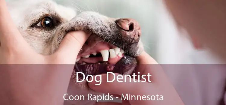 Dog Dentist Coon Rapids - Minnesota