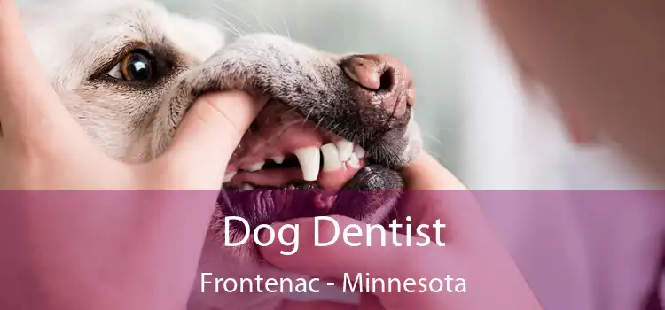 Dog Dentist Frontenac - Minnesota