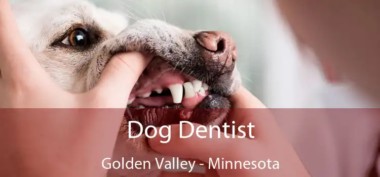 Dog Dentist Golden Valley - Minnesota