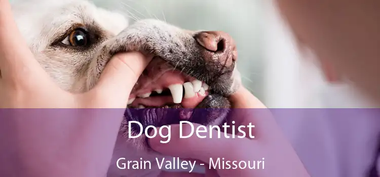 Dog Dentist Grain Valley - Missouri