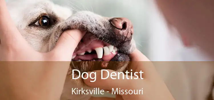 Dog Dentist Kirksville - Missouri