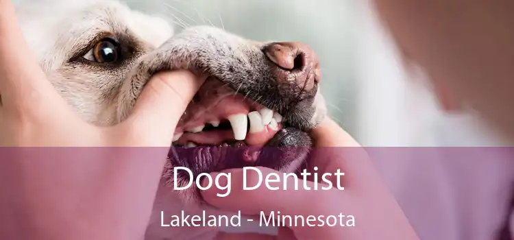 Dog Dentist Lakeland - Minnesota