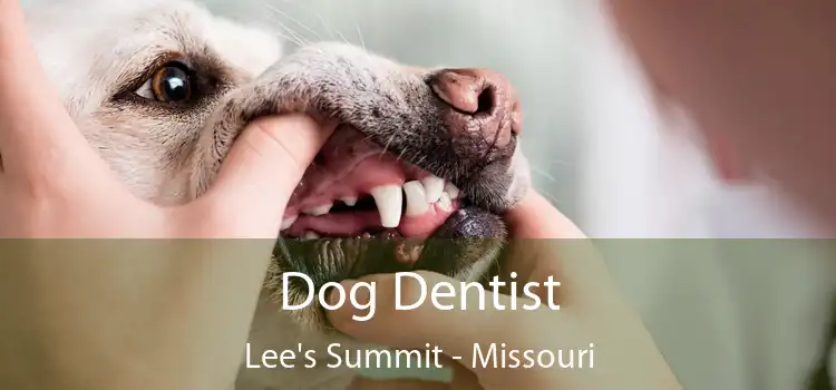 Dog Dentist Lee's Summit - Missouri