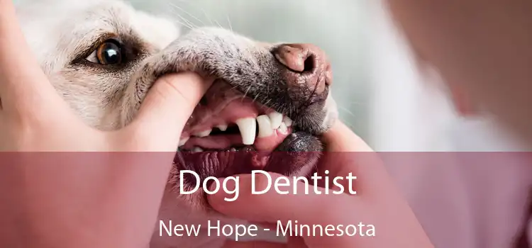 Dog Dentist New Hope - Minnesota