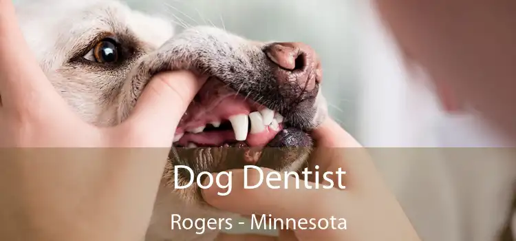 Dog Dentist Rogers - Minnesota