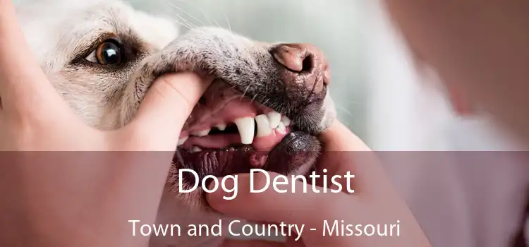 Dog Dentist Town and Country - Missouri