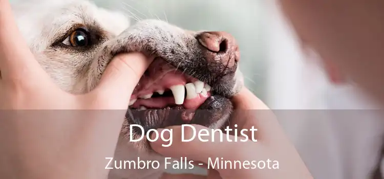 Dog Dentist Zumbro Falls - Minnesota