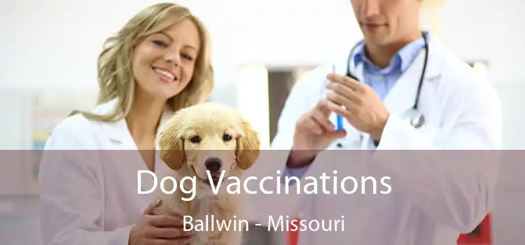 Dog Vaccinations Ballwin - Missouri