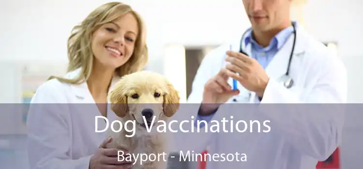 Dog Vaccinations Bayport - Minnesota