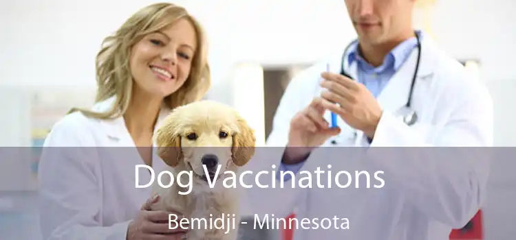 Dog Vaccinations Bemidji - Minnesota