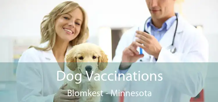 Dog Vaccinations Blomkest - Minnesota