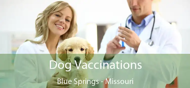 Dog Vaccinations Blue Springs - Missouri