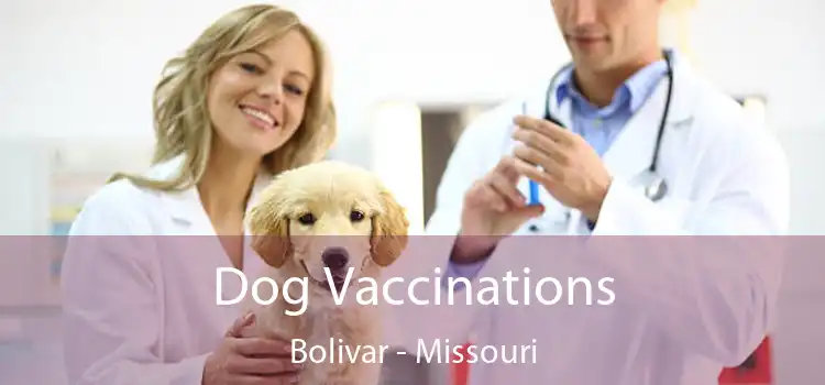 Dog Vaccinations Bolivar - Missouri