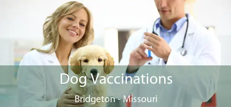 Dog Vaccinations Bridgeton - Missouri