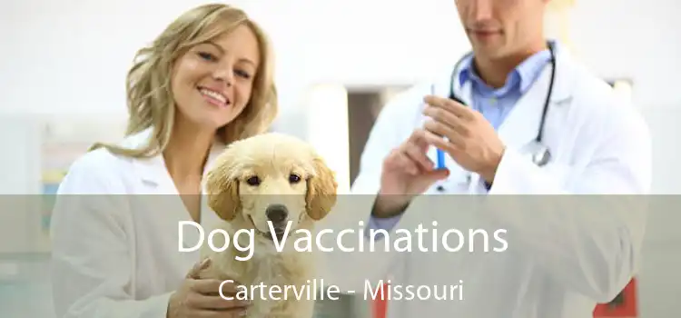 Dog Vaccinations Carterville - Missouri