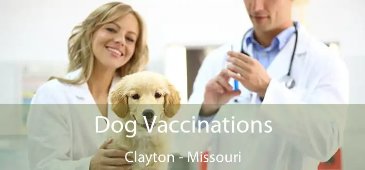 Dog Vaccinations Clayton - Missouri