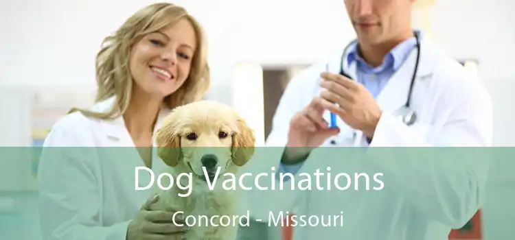 Dog Vaccinations Concord - Missouri