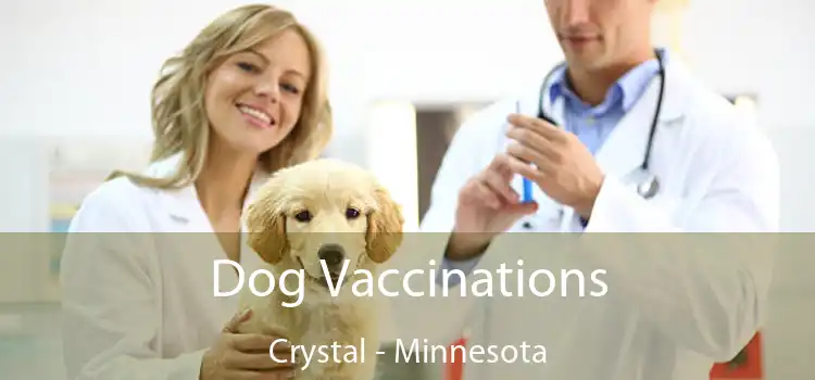 Dog Vaccinations Crystal - Minnesota