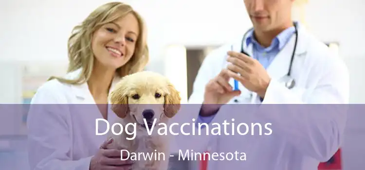 Dog Vaccinations Darwin - Minnesota