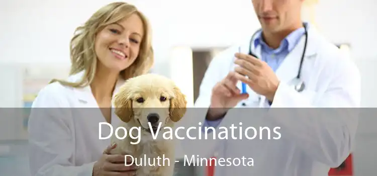 Dog Vaccinations Duluth - Minnesota