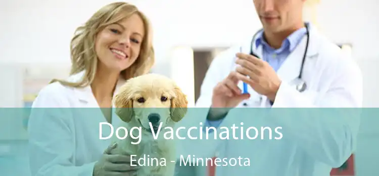 Dog Vaccinations Edina - Minnesota