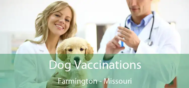 Dog Vaccinations Farmington - Missouri